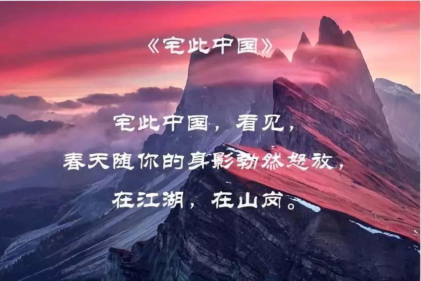 探探猫历险记2